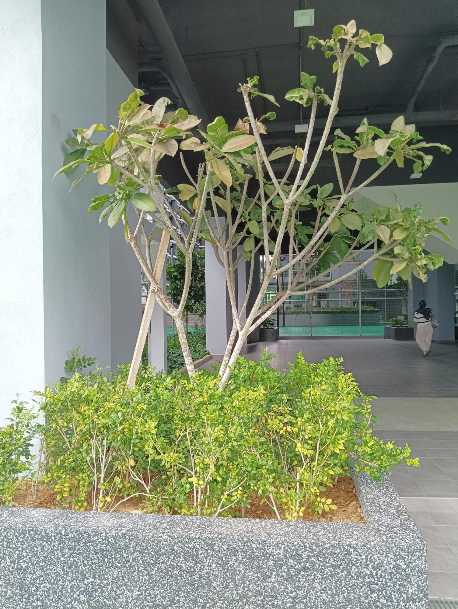 Apartment Rumakl At Majestic Maxim Kuala Lumpur